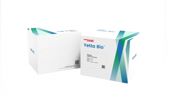 新霉素快速检测试纸条