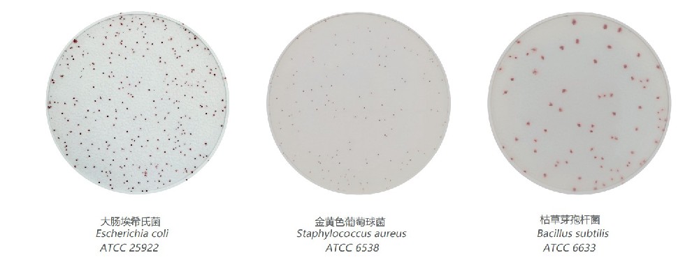 菌落总数快速测试片